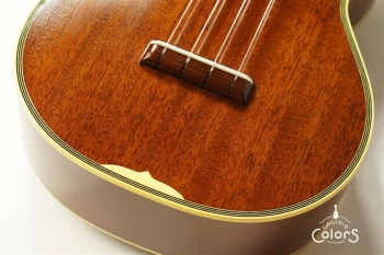 HM-C20 Concert -TR10th Anniversary Model- #361